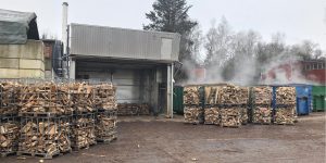 Brennholz trocknen