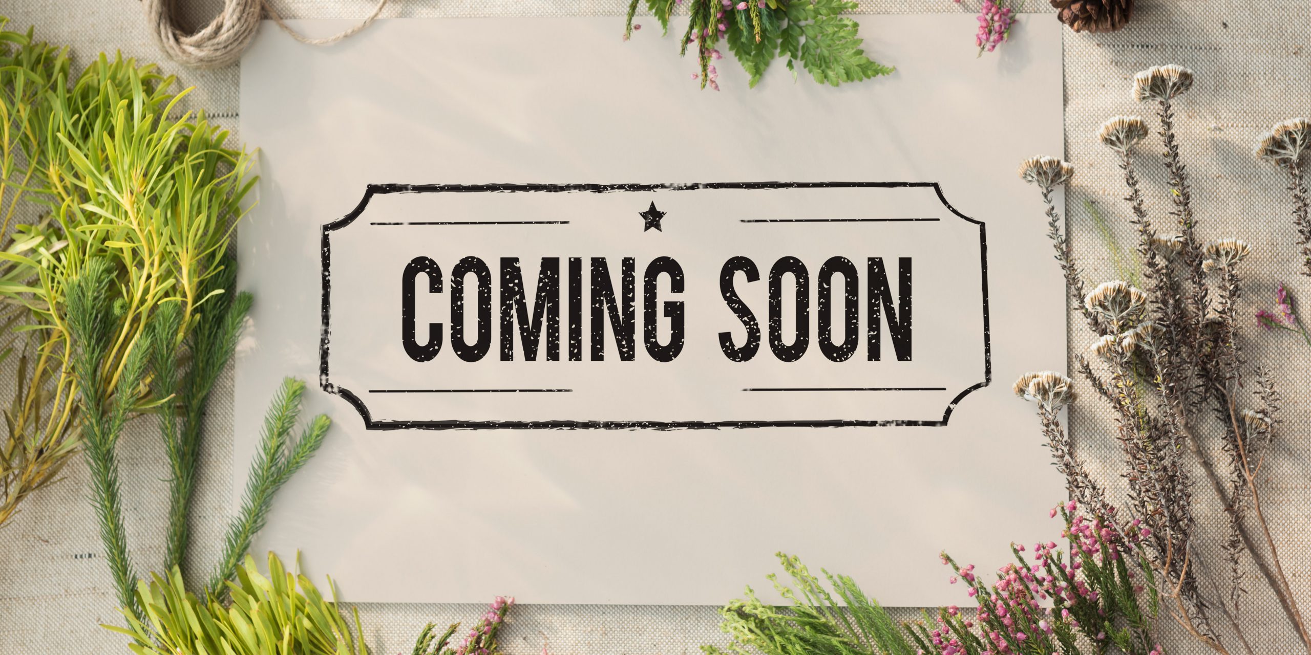 Coming Soon 2
